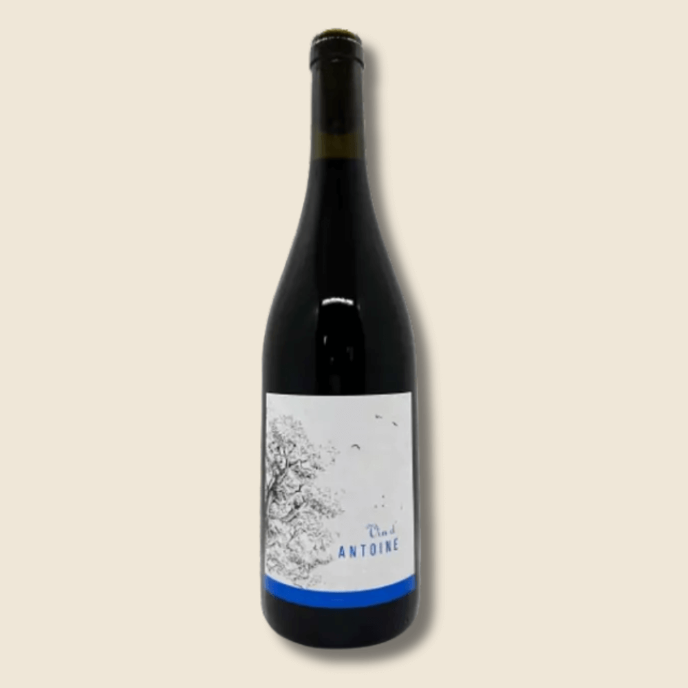Vin D'antoine - 75cL - 2023 Rouge, Fiefs Vendéens, Domaine Saint-nicolas, Vallée De La Loire Et Centre, France